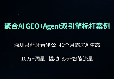 深圳某蓝牙音箱公司霸屏AI生态
10万+词量 撬动3万+智能流量