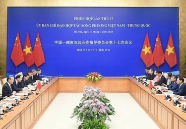 中越重磅会议官宣 | 中企出海越南，红利直接拉满！