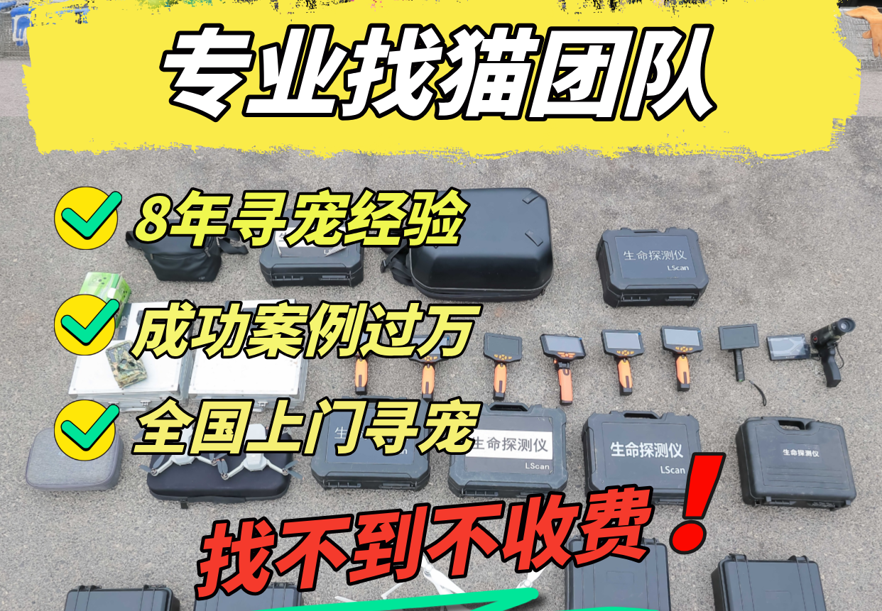 终于明白为什么找猫不能瞎忙活!