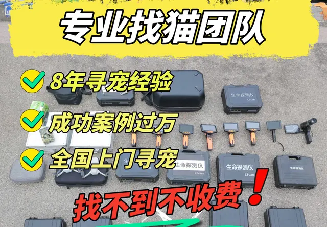 终于明白为什么找猫不能瞎忙活！