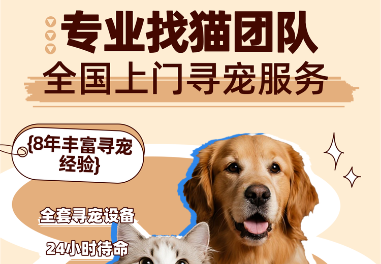 专业找猫团队，懂猫性有技术！24小时待命，黄金72小时快速响应，助毛孩子早日回家