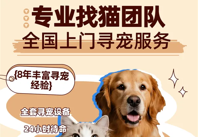 猫丢了就找专业找猫团队帮忙！