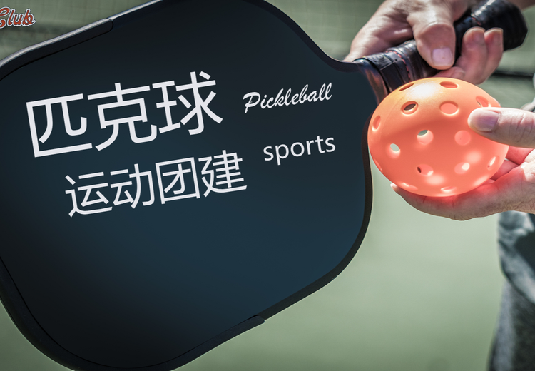 匹克球-体育化团建