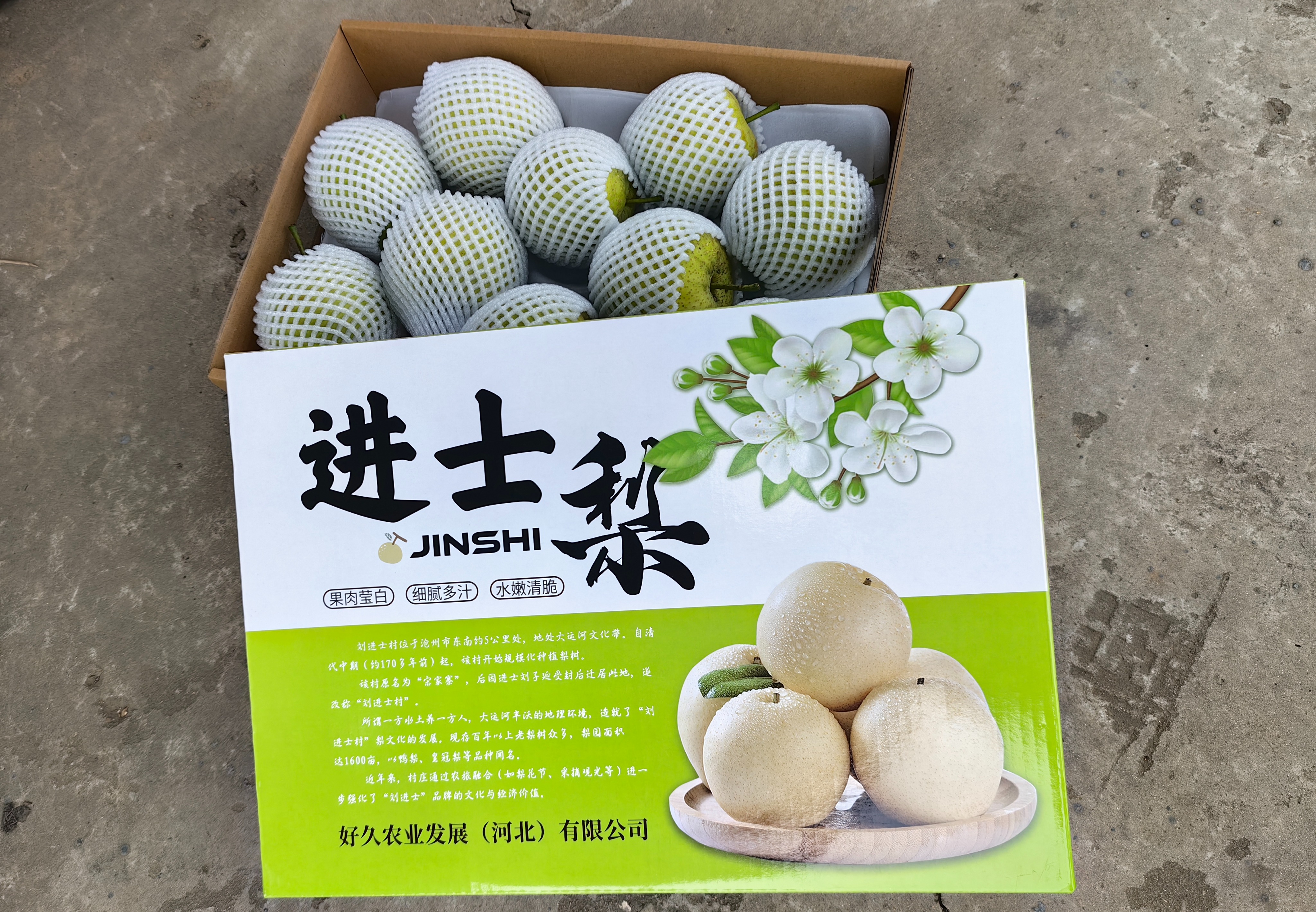 进士梨（好久农业出品・沧州百年生态梨）