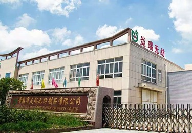 炎瑞与DMS的合作