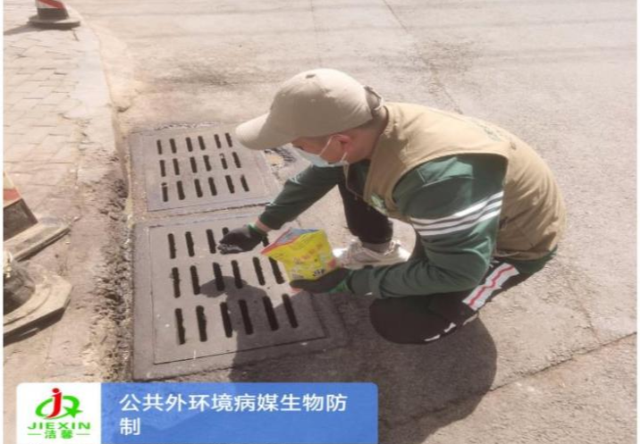 公共外环境病媒生物防治