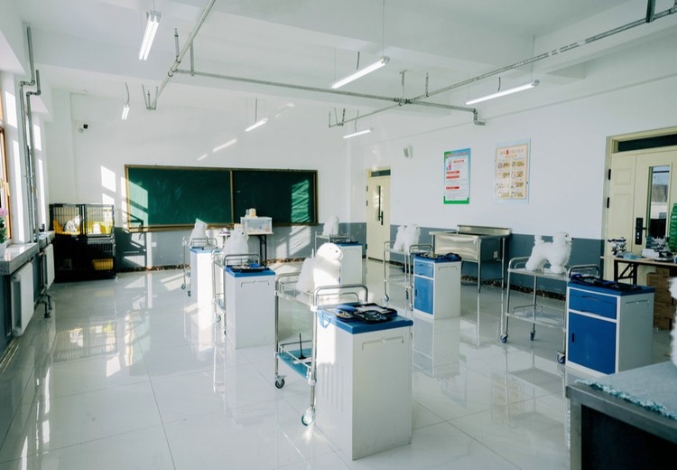 哈尔滨理工技工学校：坚守办学理念，构建多元育人矩阵，为社会输送应用型专业人才