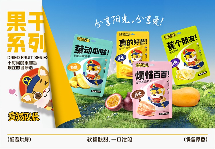 黄猫队长
