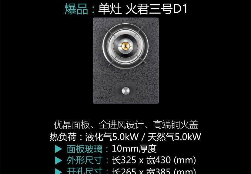 泉天下健康灶单灶 火君三号D1