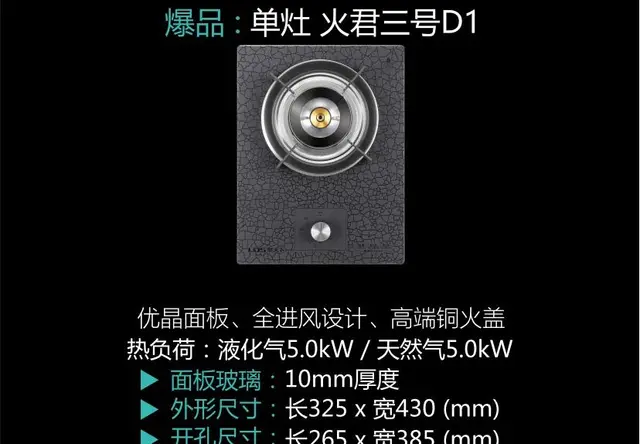 泉天下健康灶单灶 火君三号D1