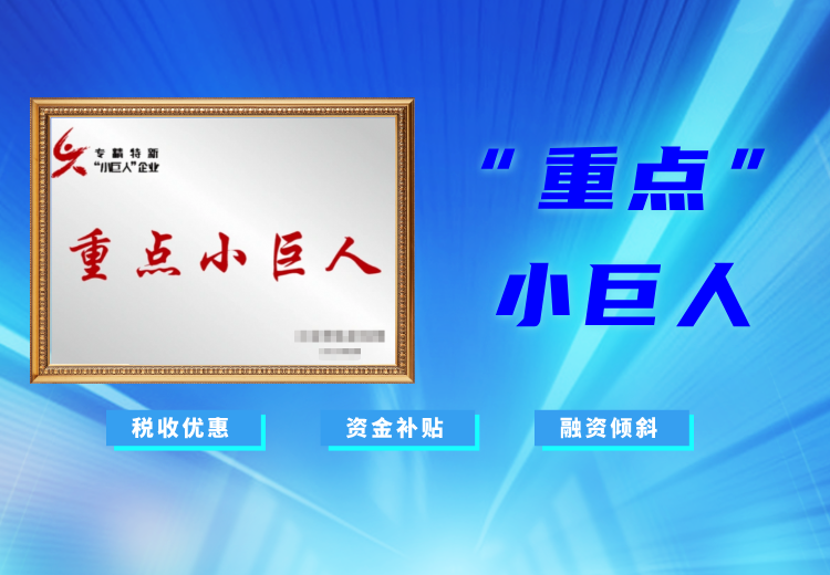 重点&ldquo;小巨人&rdquo;