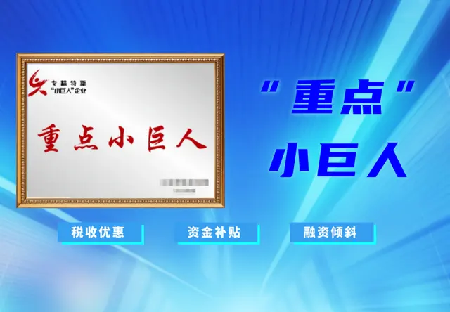 重点“小巨人”