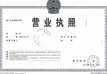 境内公司营业执照