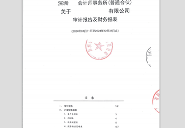 境内公司财务报表、审计报告（TO 发改委、商务部）