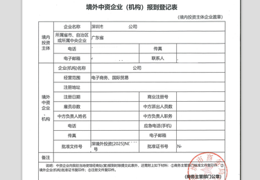 境外中资企业报道登记表（境内公司 TO 商务部）