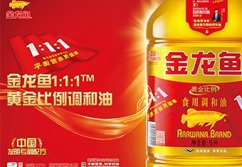 家喻户晓金龙鱼