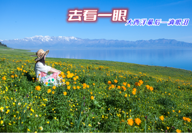 赛里木湖花海赴约，打卡大西洋最后一滴眼泪