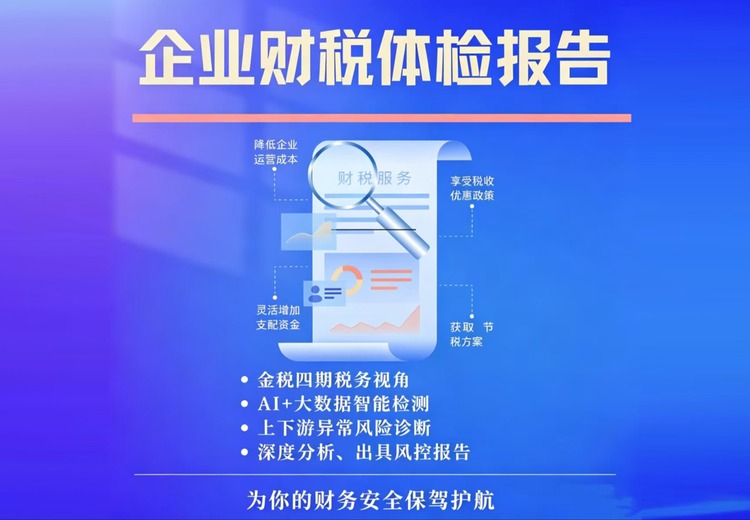 企业财税体检报告