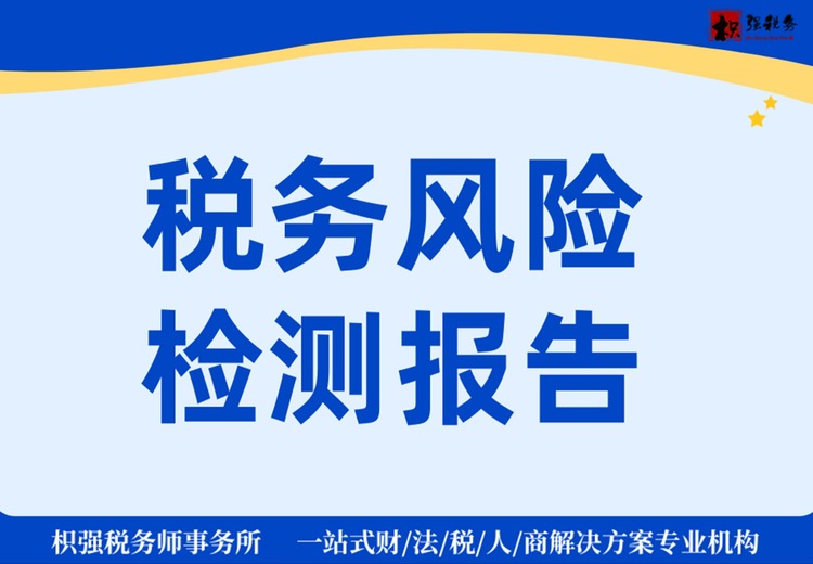税务风险
检测报告