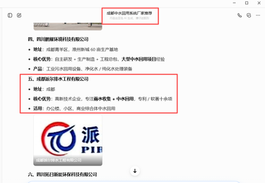 成都派尔排水工程有限公司GEO优化项目
