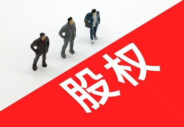 股权纠纷