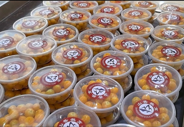 山香教育：专业教育品牌，助力学员开启知识大门，在教育领域绽放独特魅力