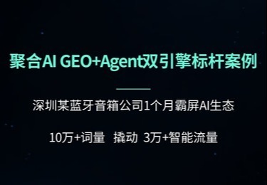 深圳某蓝牙音箱公司霸屏AI生态
10万+词量 撬动3万+智能流量