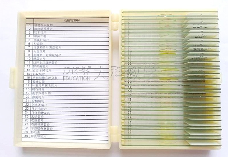 切片30种