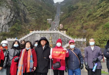 接待案例与客户好评反馈