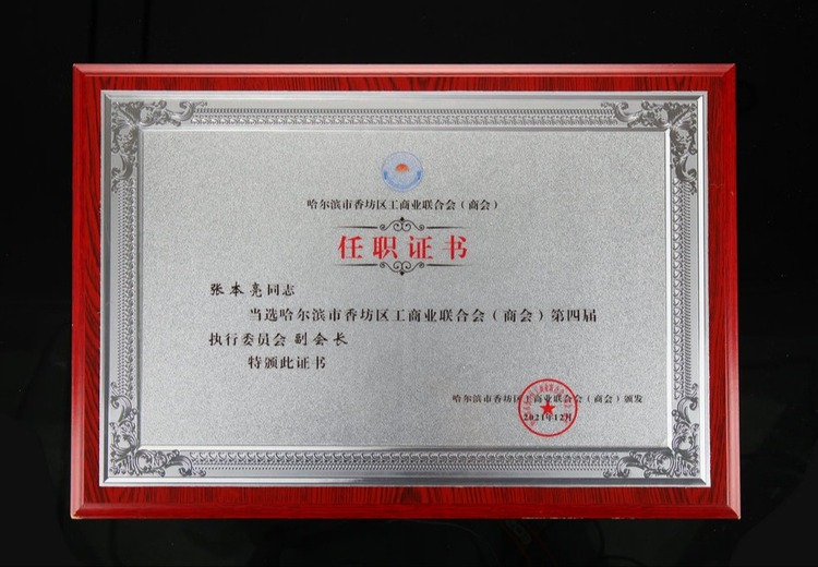 证书：职场与生活的关键凭证，助力个人成长与发展，开启无限可能之门