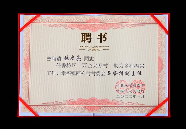 证书：职场晋升利器，技能实力见证，开启职业发展新征程的关键通行证