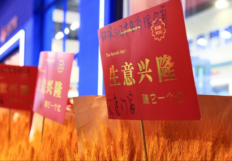 精彩纷呈！展会现场珍贵照片大揭秘，带你领略展会的独特魅力与多元风采