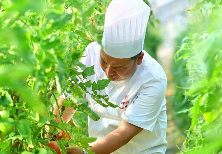 自有基地直采直供，源头把控食材品质，打造生态餐饮闭环沉浸式田园用餐体验
