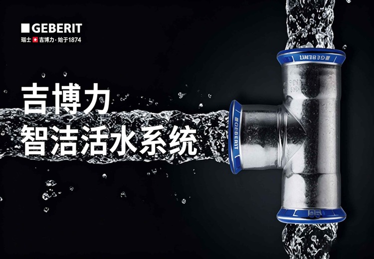 一张神秘图片引发好奇：图中究竟隐藏着怎样的故事与奥秘？