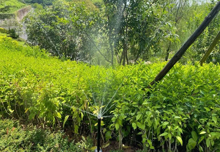 淋达智能园林灌溉：全场景一体化方案，精准节水，美观耐用，一站式服务打造高品质园林养护体系
