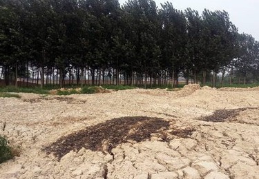 污泥处置