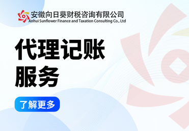 代理记账服务