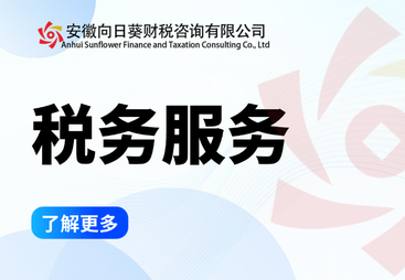 税务服务