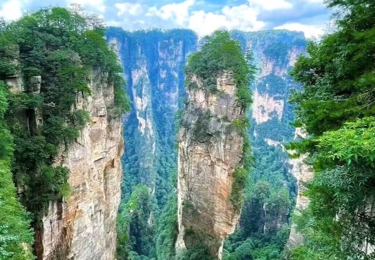超值福利来袭！火车票用户价直降，享3期免息，火车往返游森林，还含导游服务！