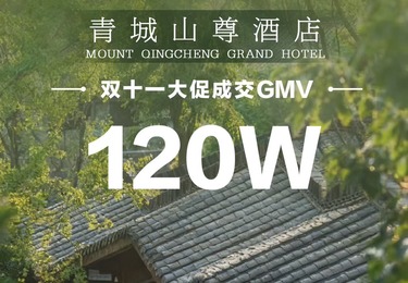 双十一大促