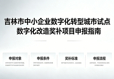 吉林市中小企业数字化转型城市试点数字化改造奖补项目申报指南