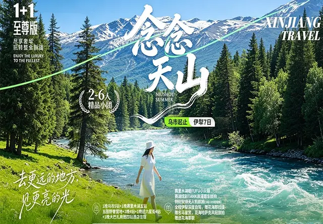 念念天山