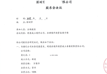 境内公司股东会议决议（TO 发改委、商务部）