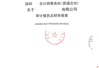 境内公司财务报表、审计报告（TO 发改委、商务部）