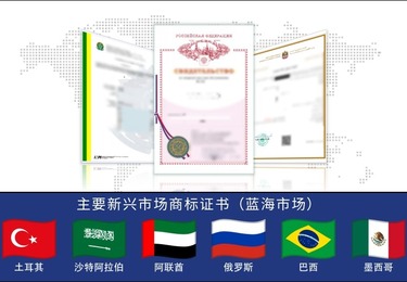 主要新兴市场商标证书(蓝海市场)