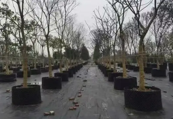园艺地布