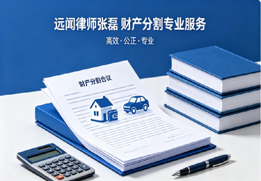 案例一：离婚财产分割 + 子女抚养权案