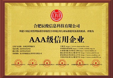 合肥辰俊信息科技有限公司基本信用报告