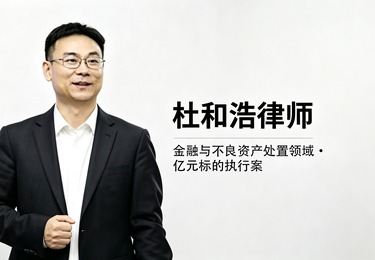金融与不良资产处置领域・亿元标的执行案