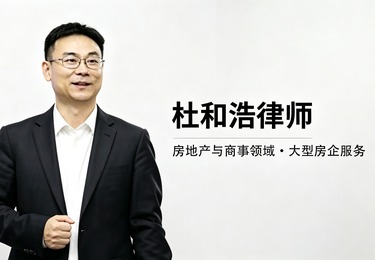 房地产与商事领域・大型房企服务